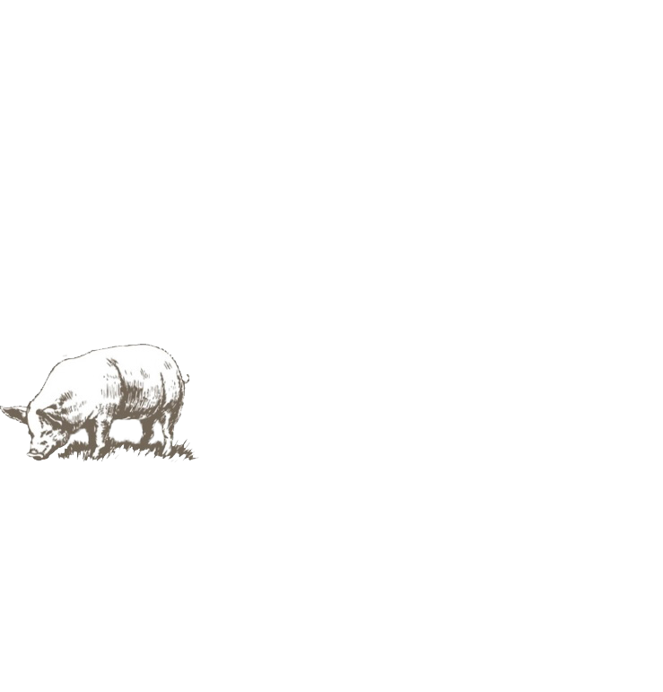 logo Illustration of a grazing pig in a minimalist style, showcasing the animal's natural habitat and behavior, ideal for discussions on farming, animal husbandry, or sustainable agriculture.